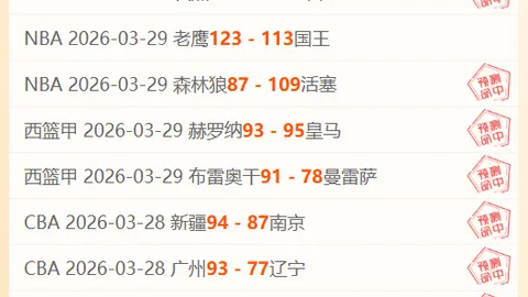 葡萄牙媒体：帕利尼亚每月需支付600欧抚养费，抚养两个孩子